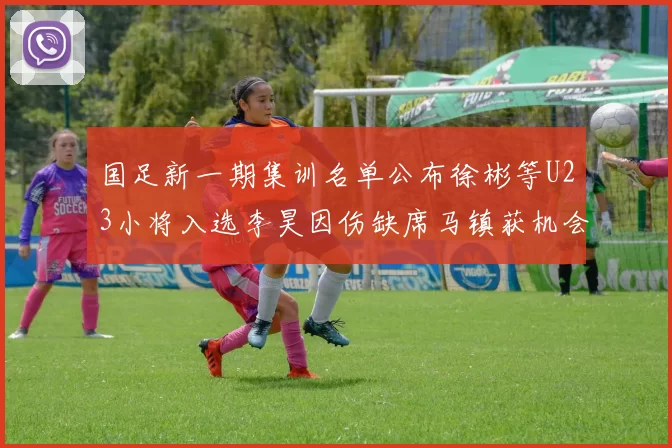国足新一期集训名单公布徐彬等U23小将入选李昊因伤缺席马镇获机会